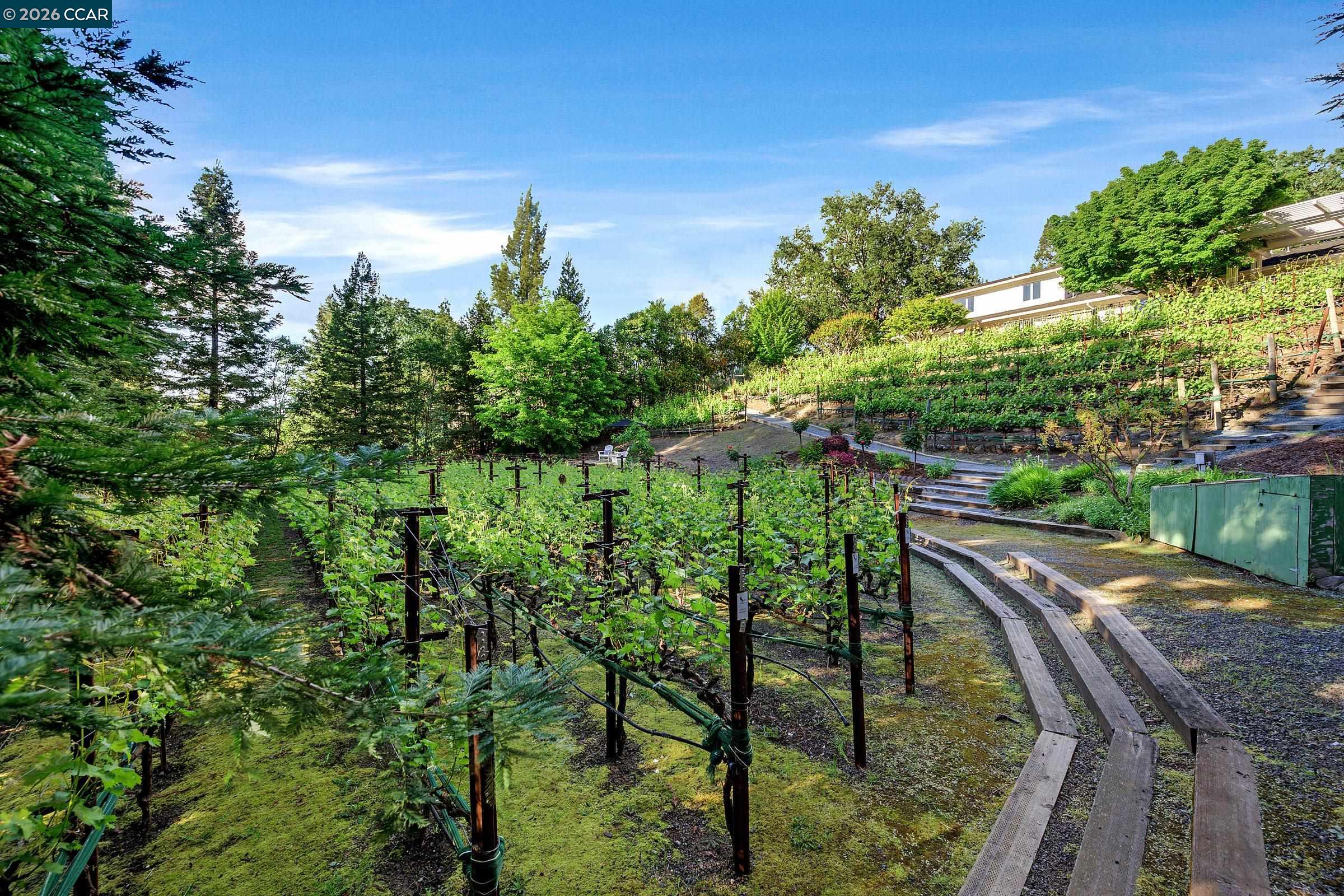225 Pebble Ct