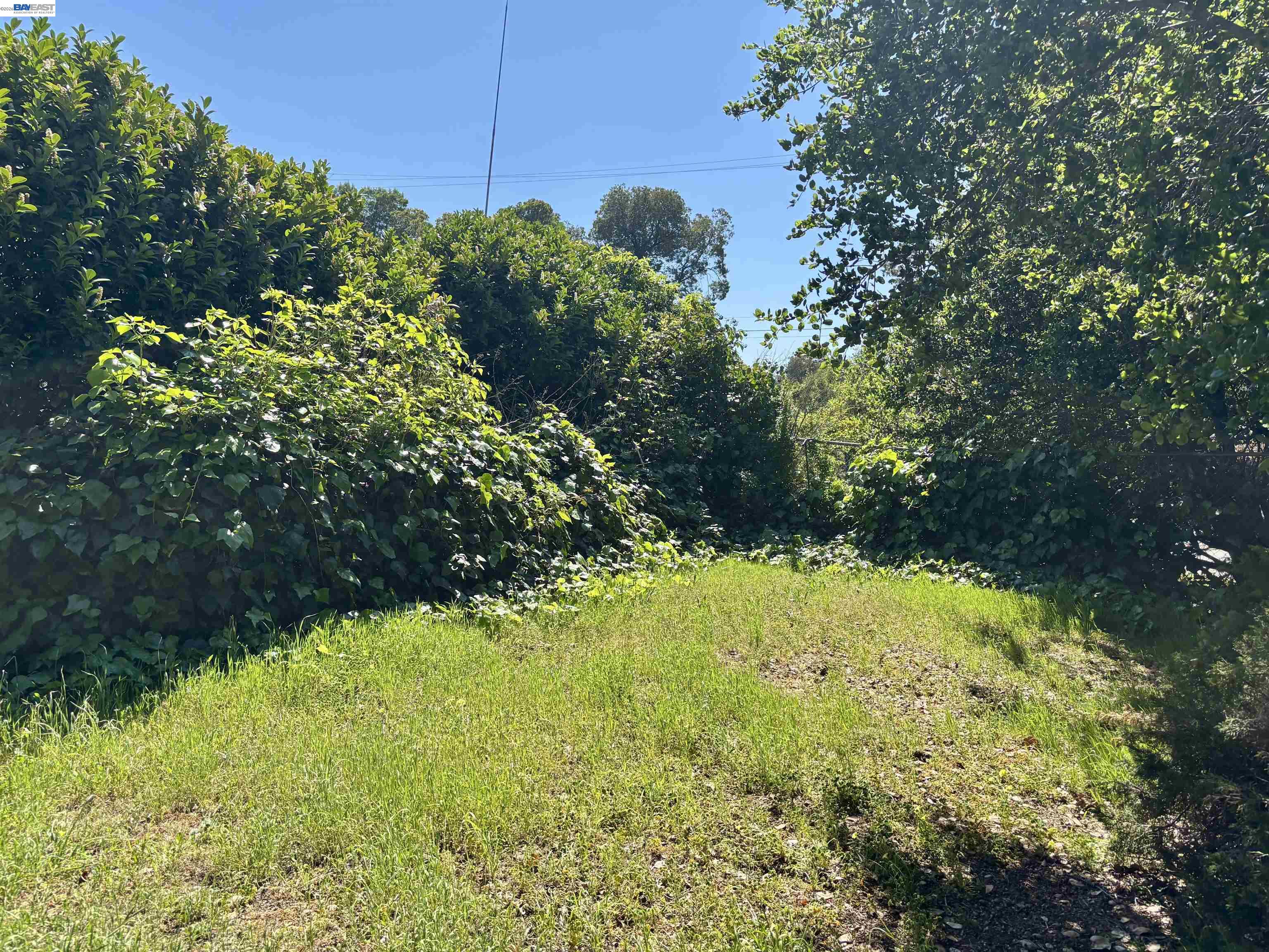 4101 Mountain View Ave