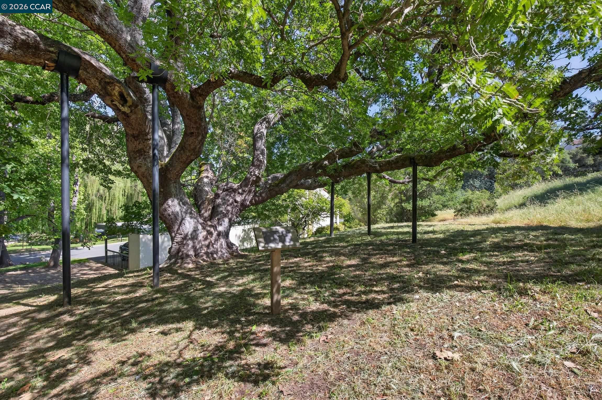 1621 Ptarmigan Dr. # 2A