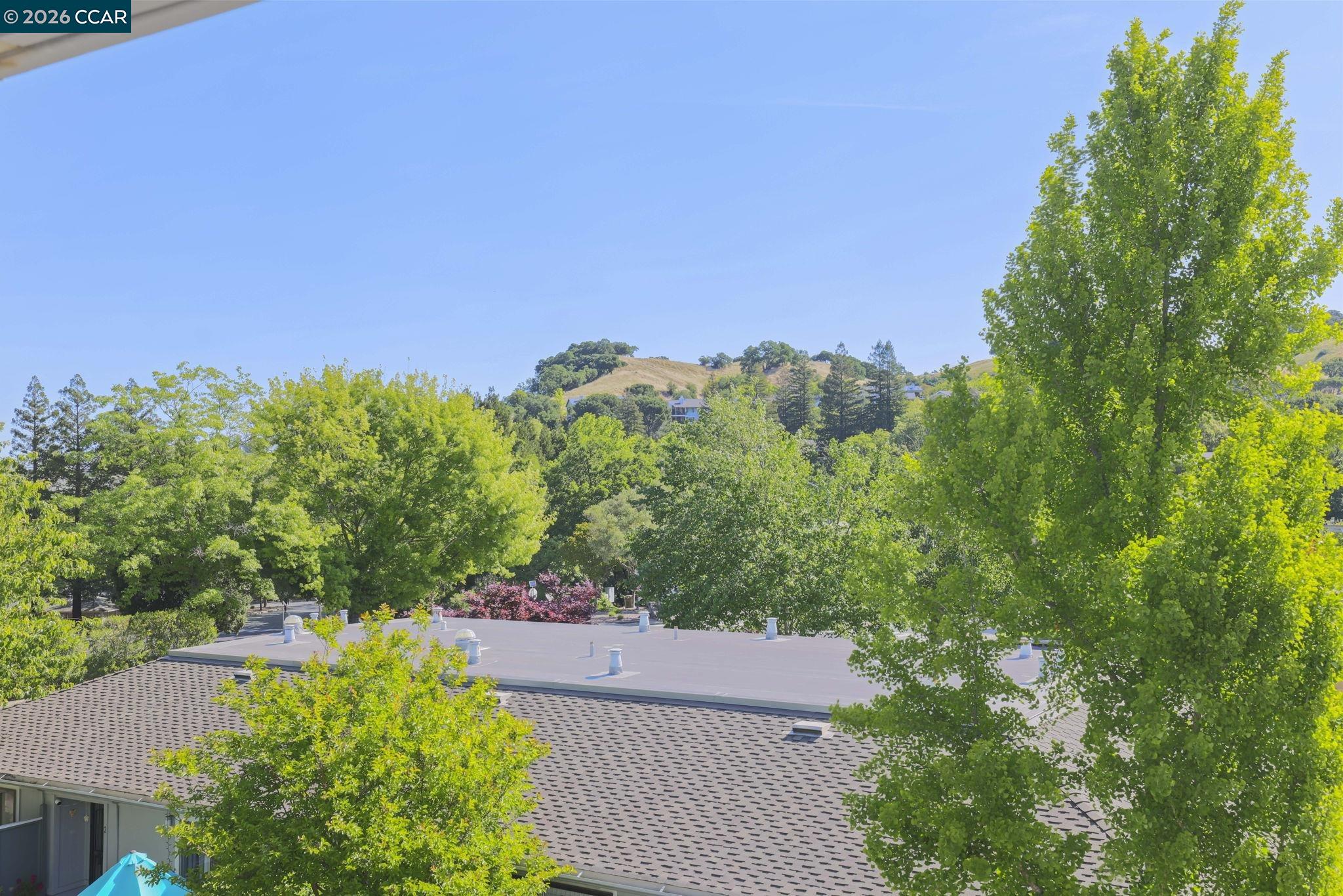 1117 Golden Rain Rd # 1