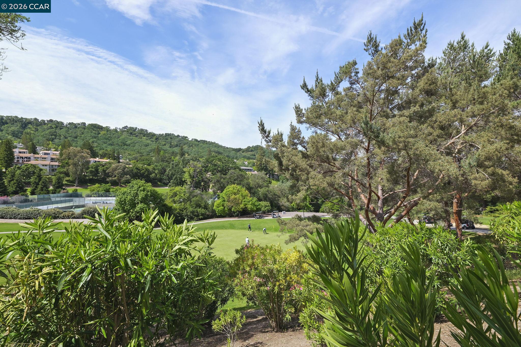 5513 Terra Granada Dr. #2A