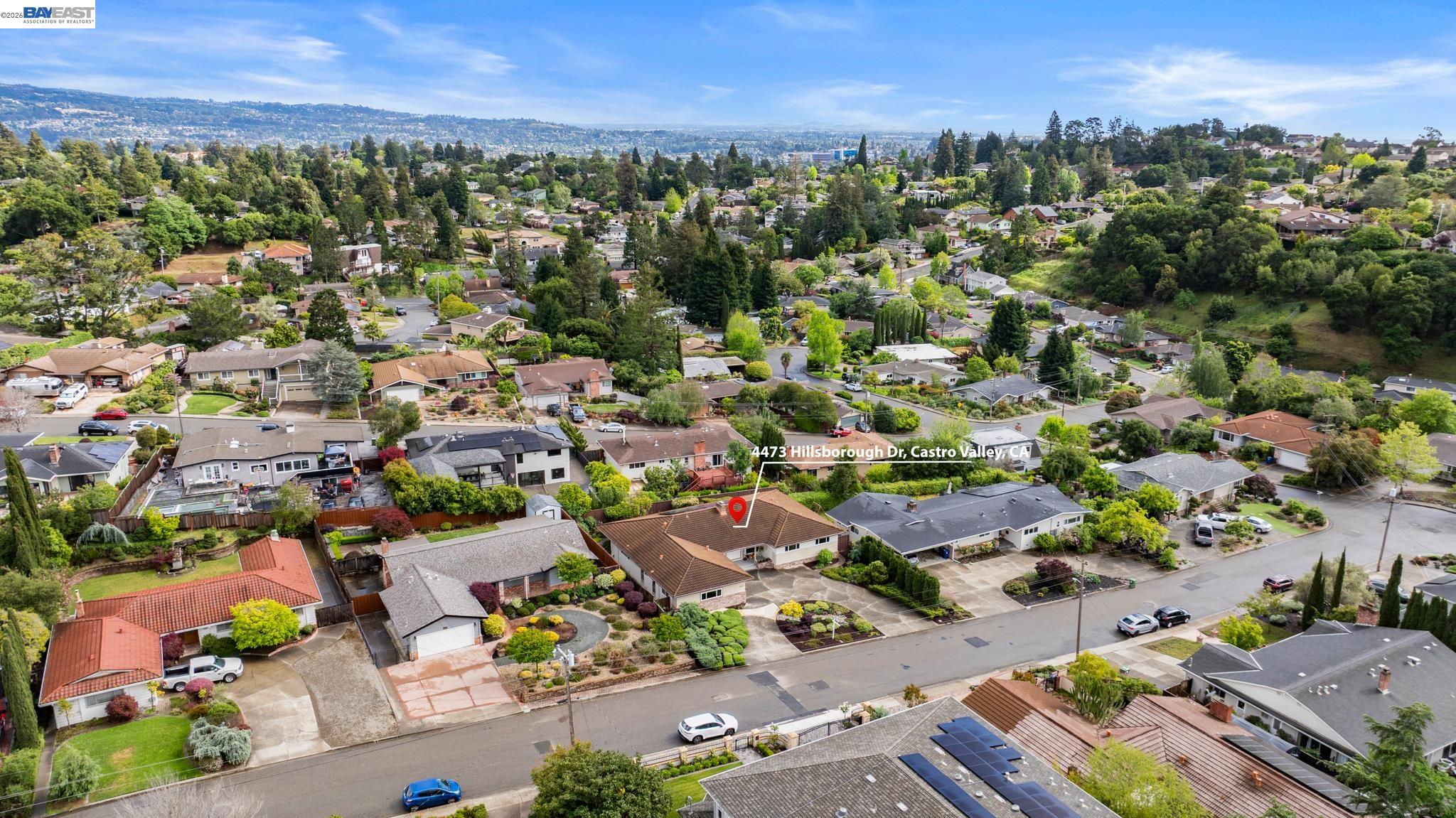 4473 Hillsborough Dr