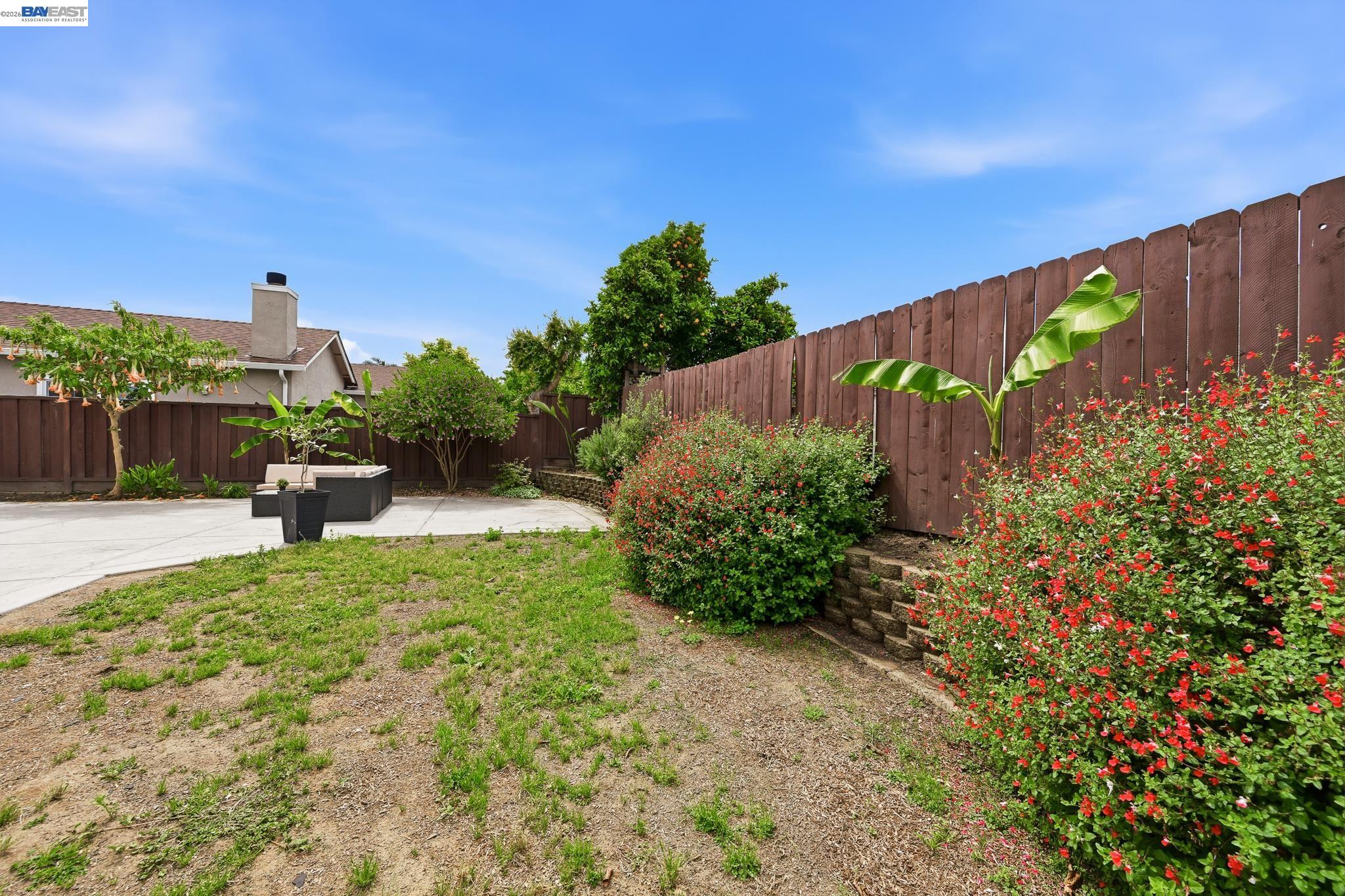 31333 San Andreas Dr