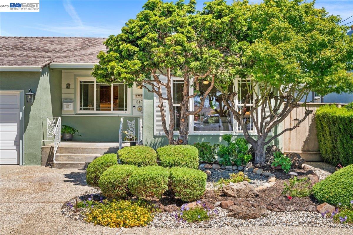 347 Anza Way
