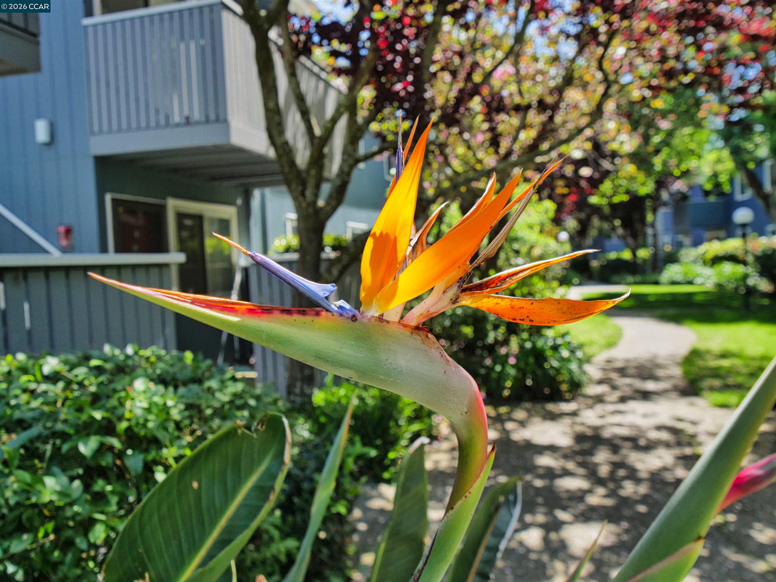 405 Piccadilly Place # 24