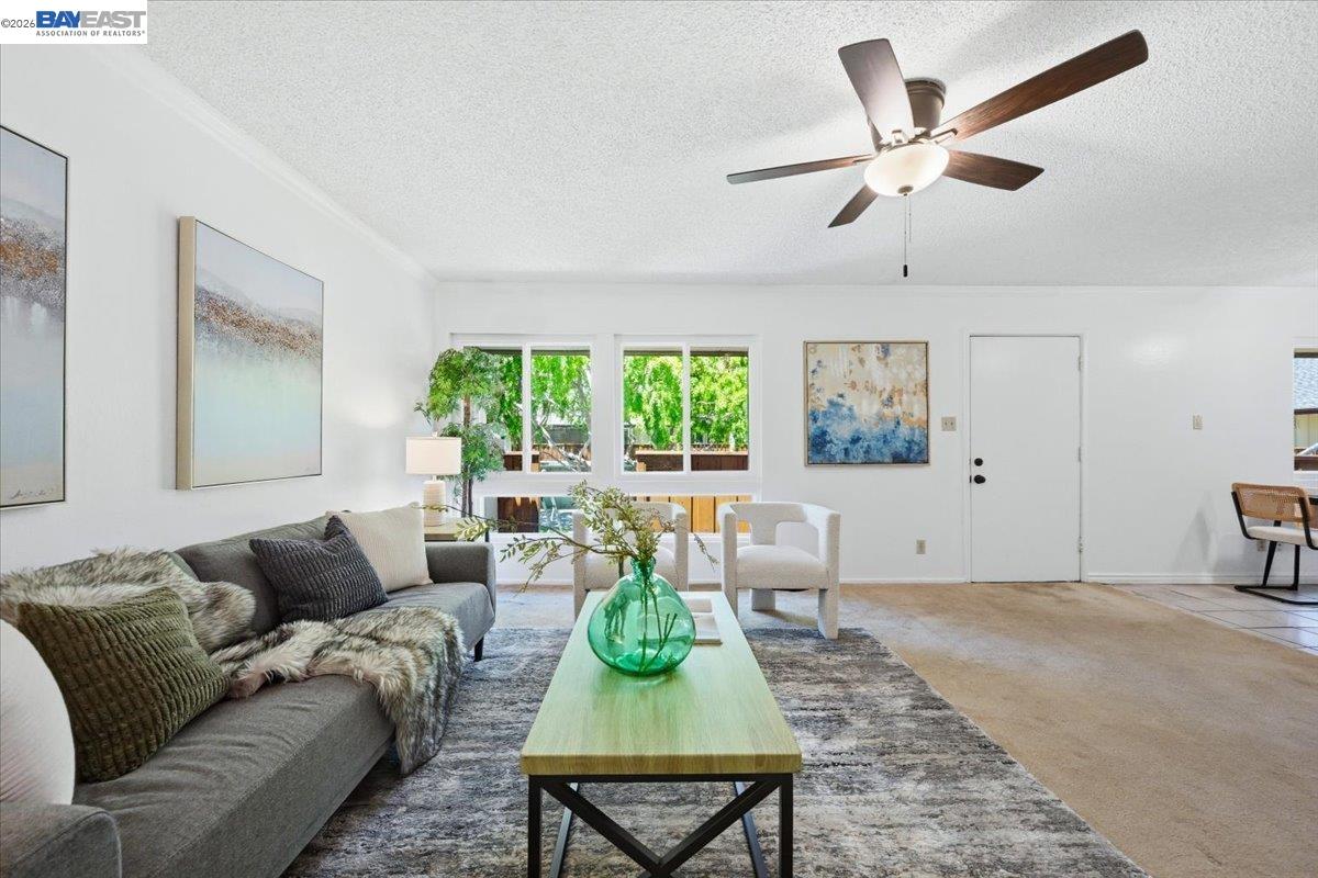 3033 Los Prados Street # 230