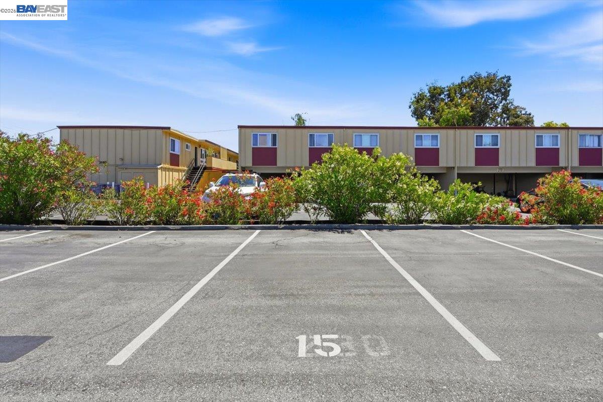 3033 Los Prados Street # 230
