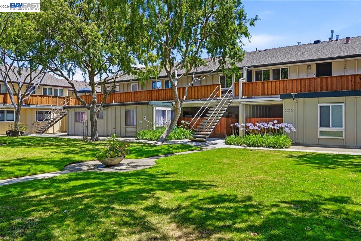 3033 Los Prados Street # 230