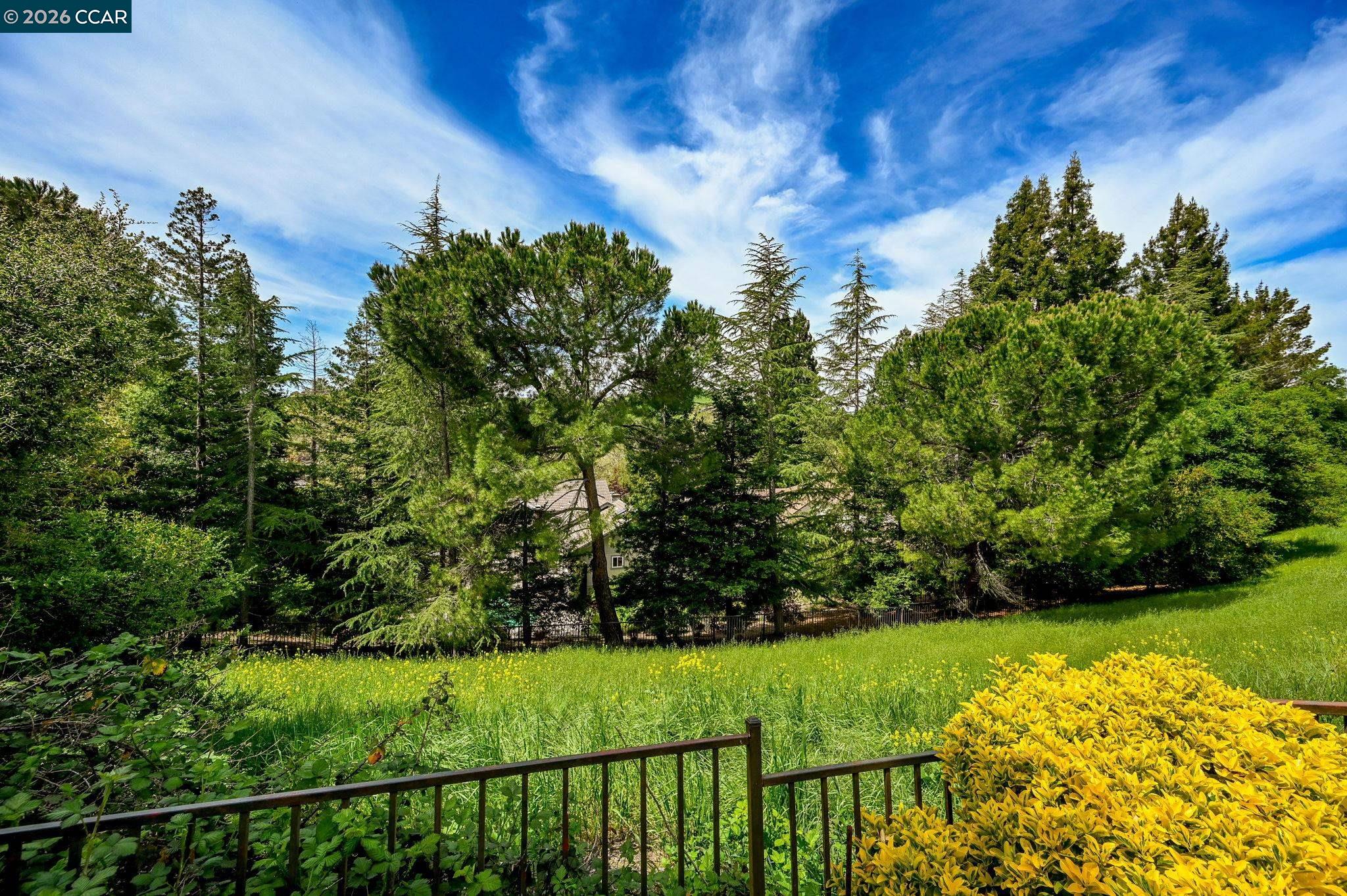 715 Blue Spruce Dr
