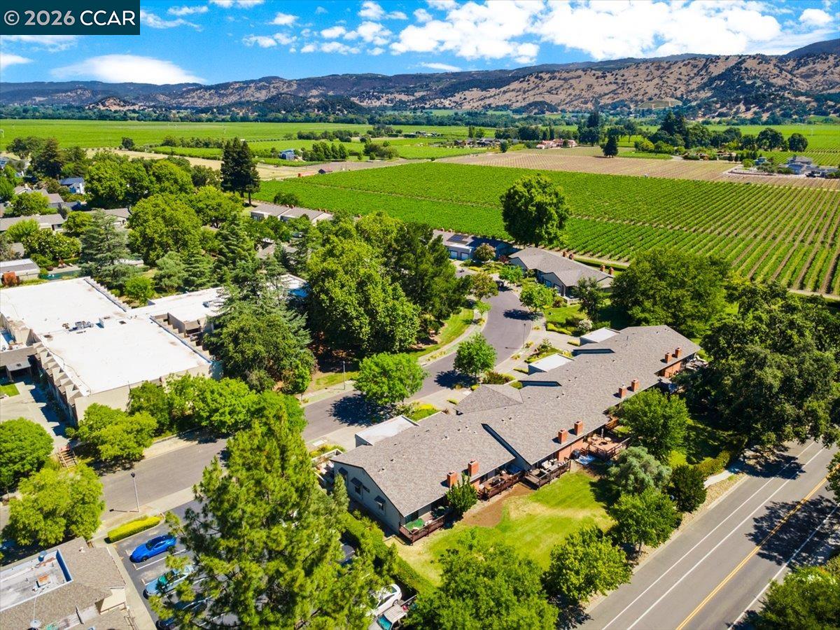 102 Vineyard Cir