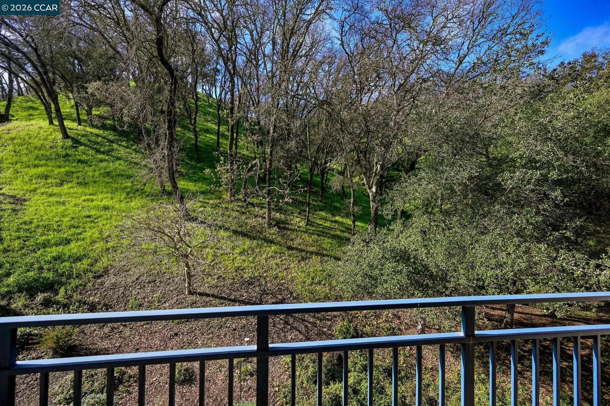 5920 Horsemans Canyon # 1B