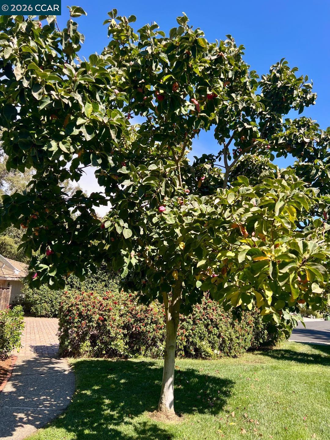 3151 La Playa Ct
