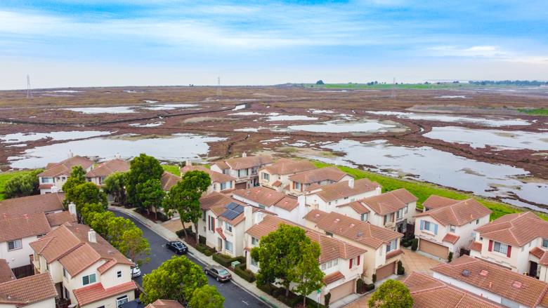 15358 Snowy Plover CT