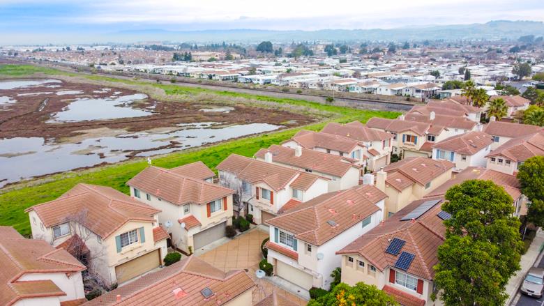 15358 Snowy Plover CT