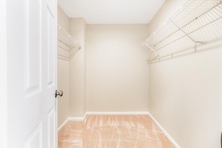 15358 Snowy Plover CT