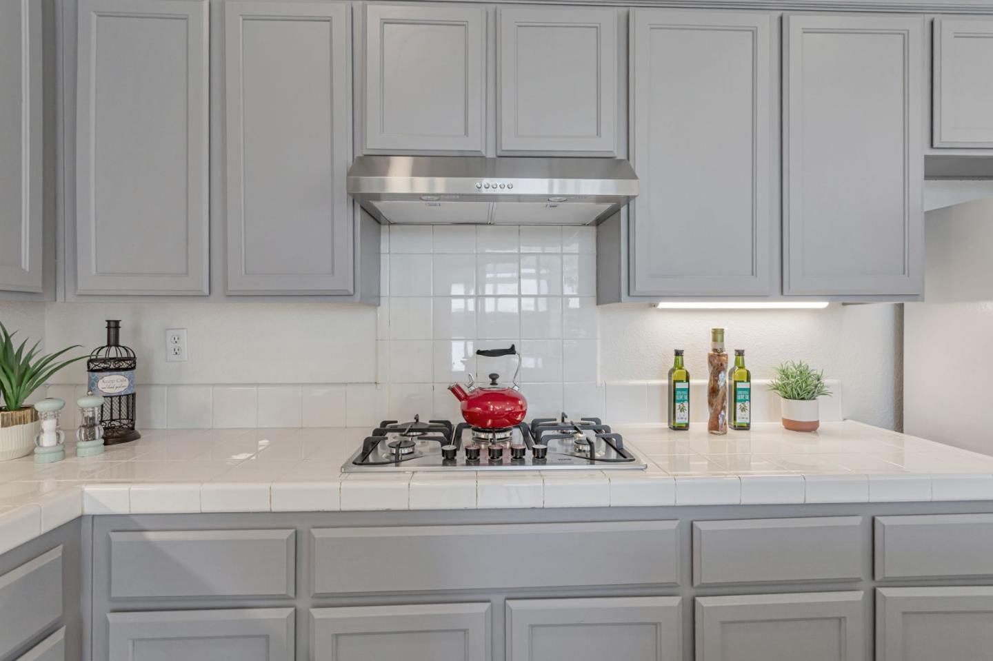 1048 Stillspring Drive