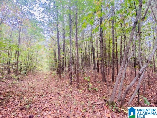 1085 SUMMIT PARK ROAD