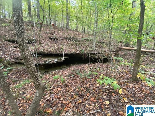 1085 SUMMIT PARK ROAD