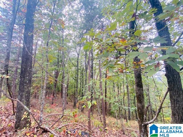 1085 SUMMIT PARK ROAD