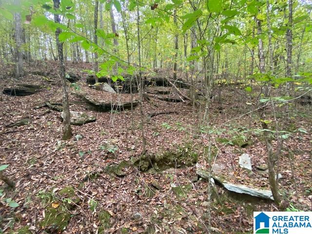 1085 SUMMIT PARK ROAD