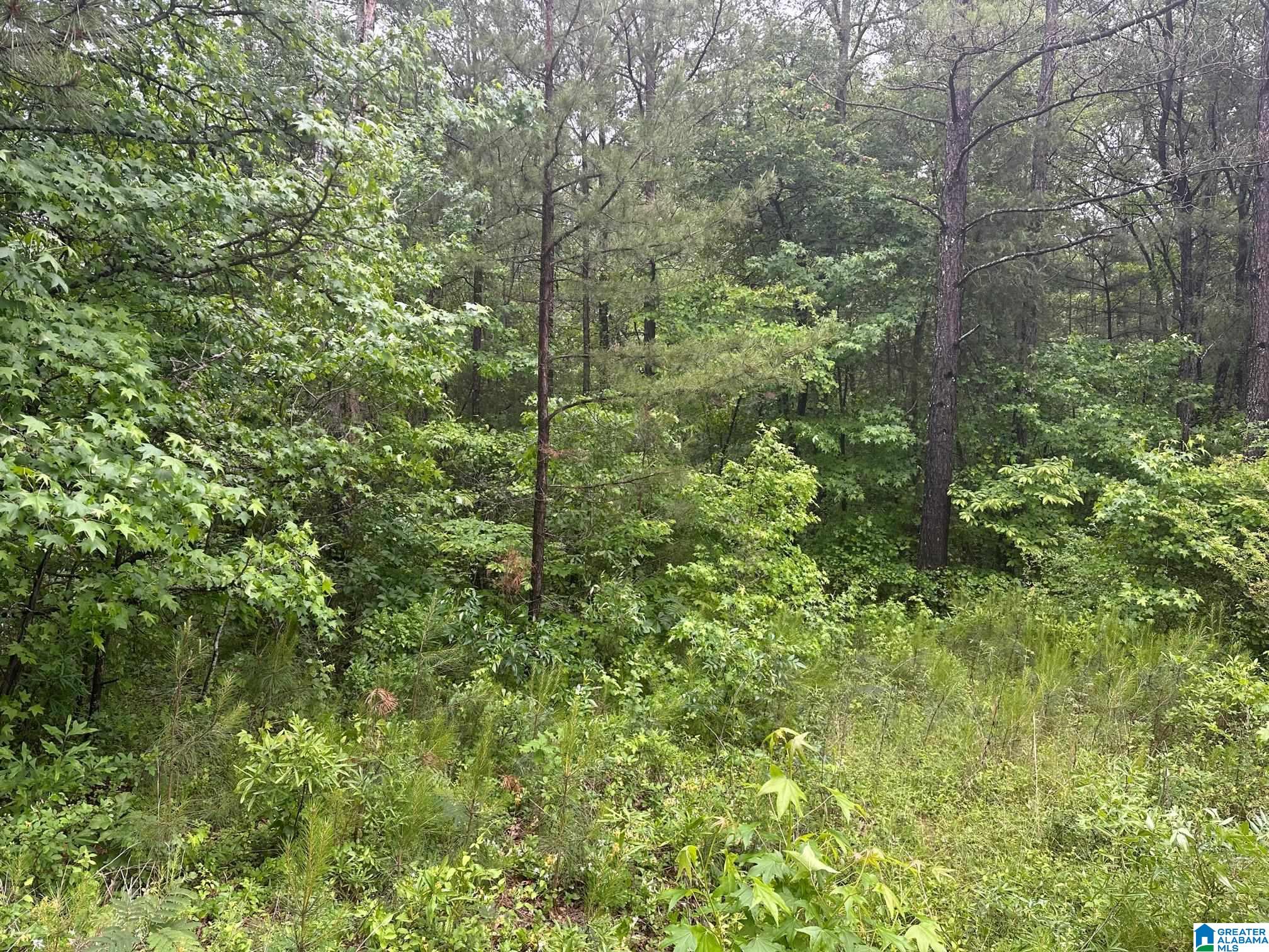 120 GRAND OAKS DRIVE