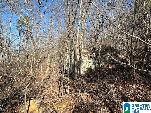 1065 FLYNT RIDGE ROAD