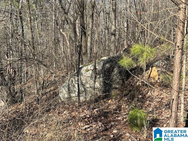 1065 FLYNT RIDGE ROAD