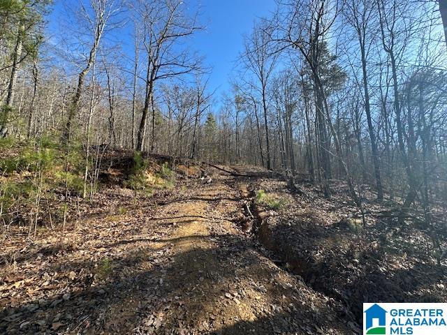 1065 FLYNT RIDGE ROAD