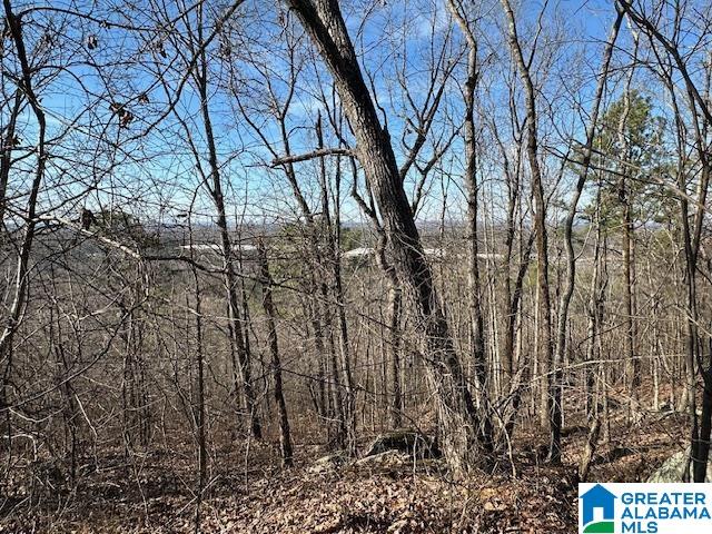 1065 FLYNT RIDGE ROAD