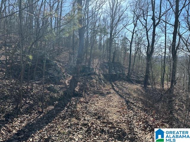 1065 FLYNT RIDGE ROAD