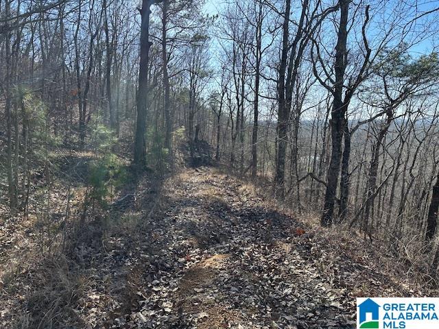 1065 FLYNT RIDGE ROAD