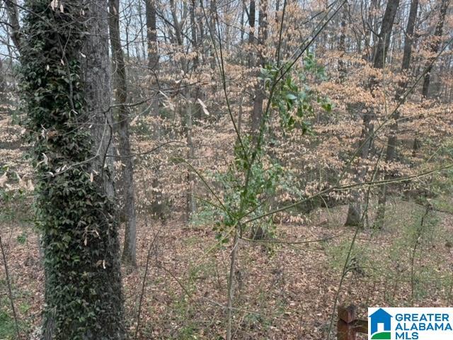 80 TWIN PINES DRIVE