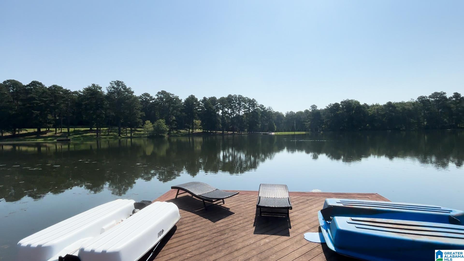 411 DR JENKINS LANE