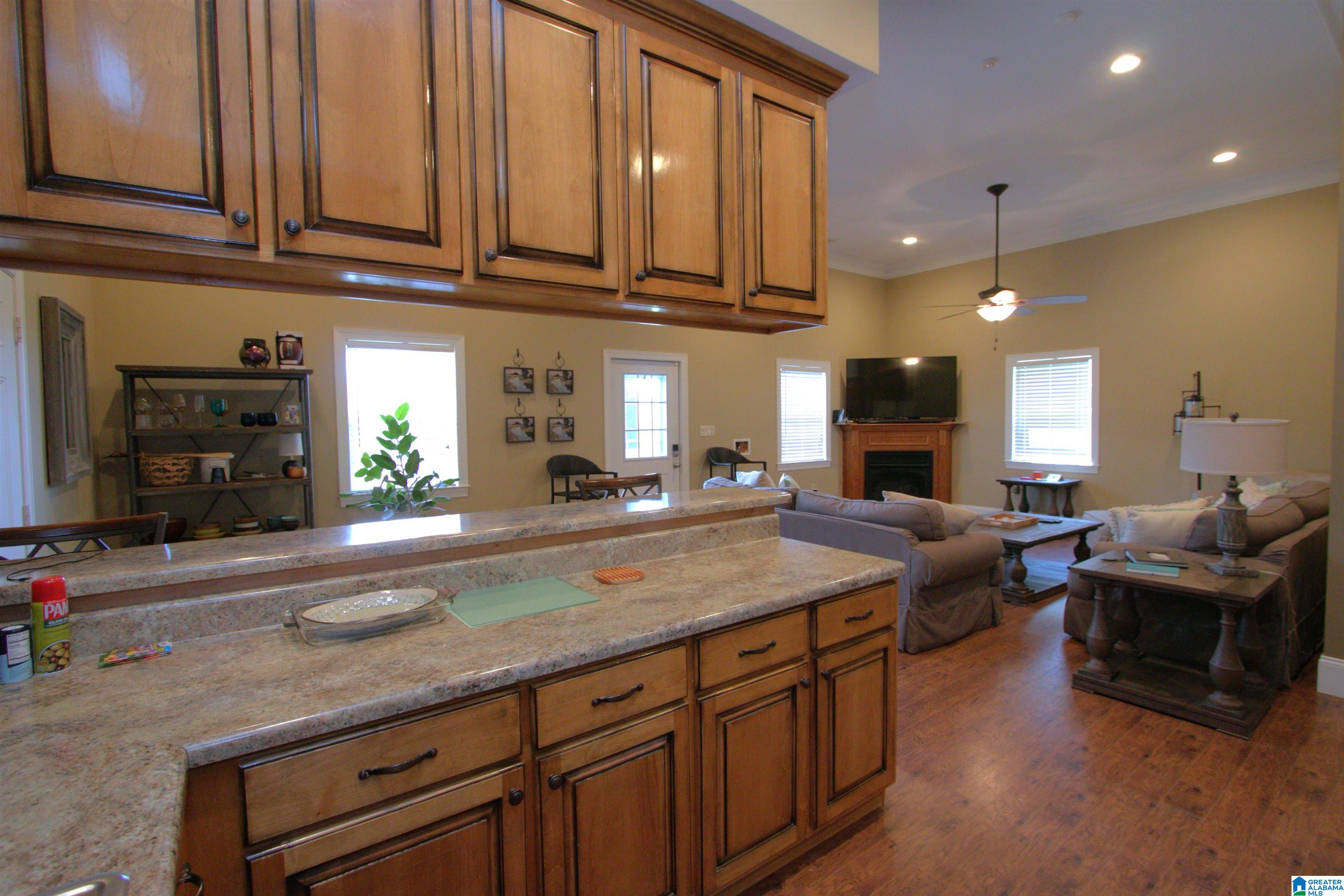 411 DR JENKINS LANE