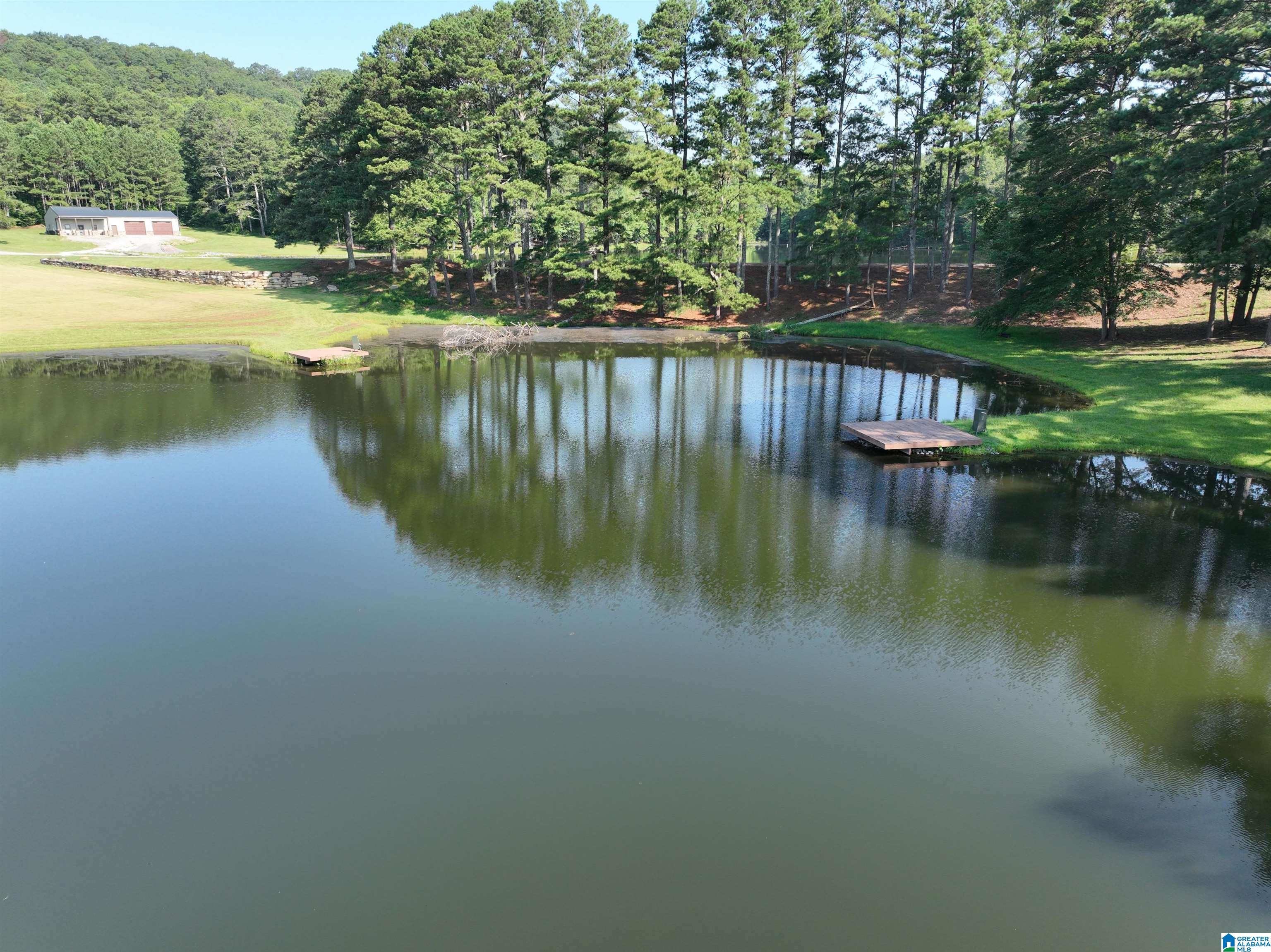 411 DR JENKINS LANE