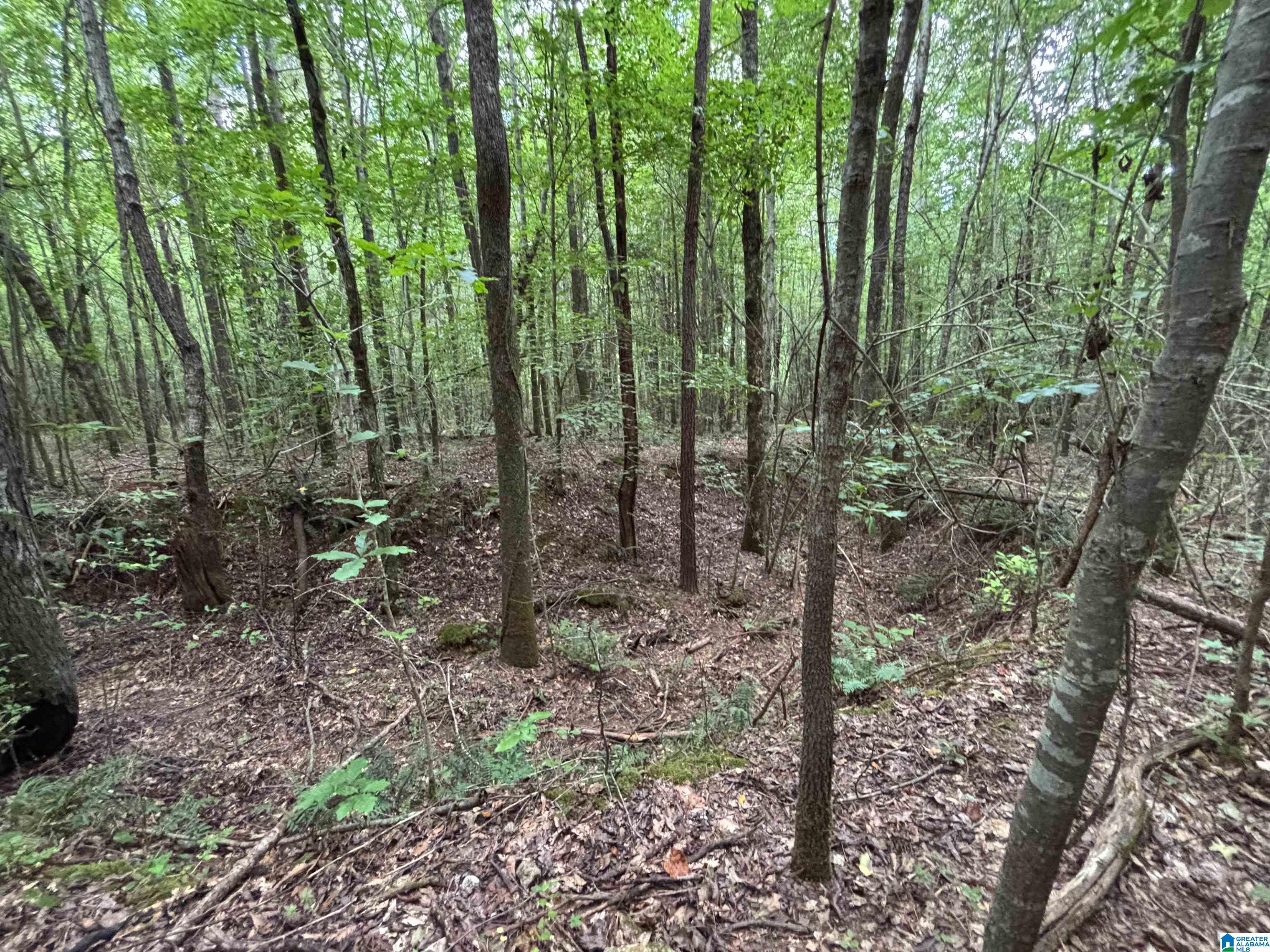 0 COUNTY ROAD 42