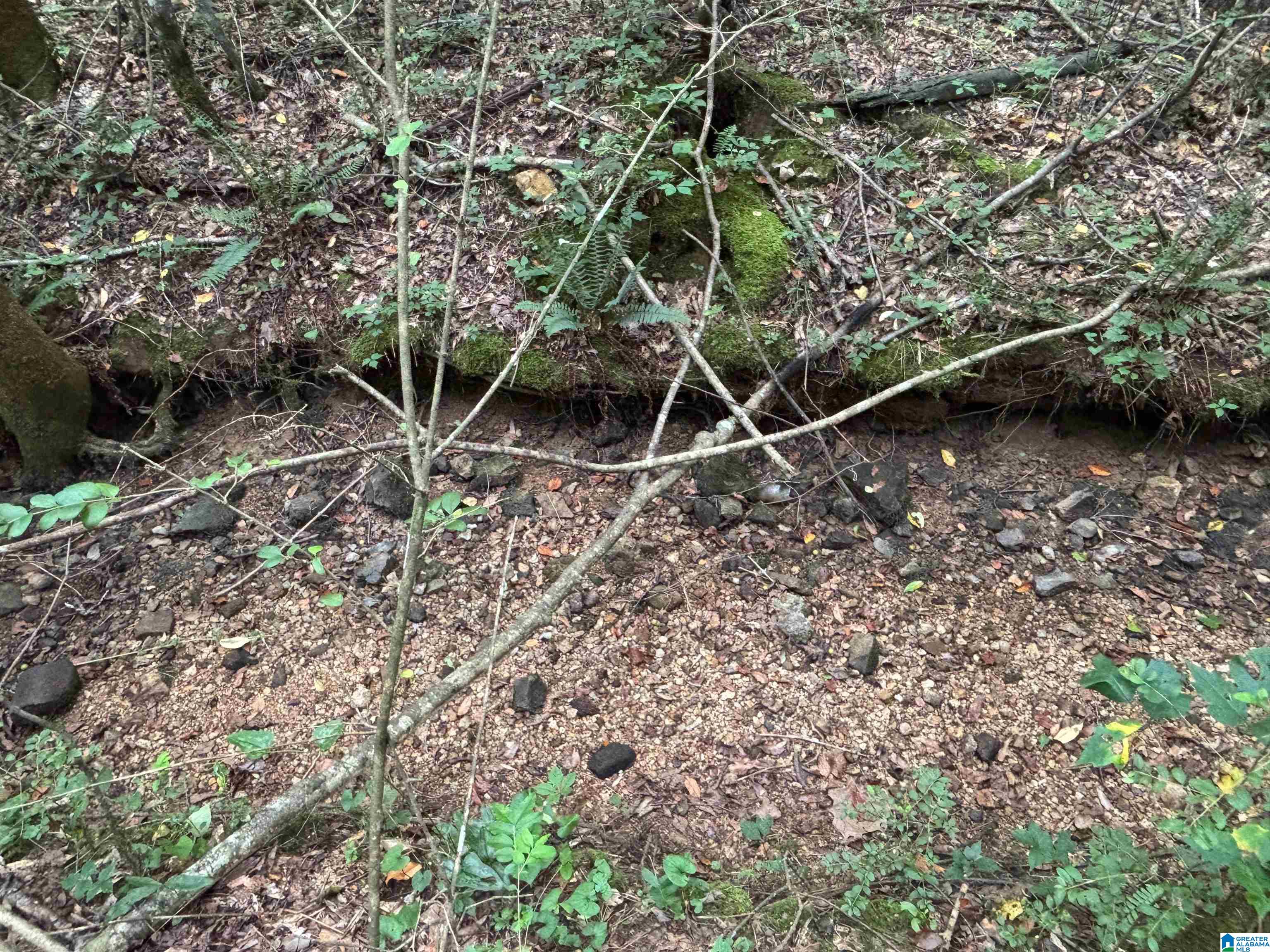 0 COUNTY ROAD 42