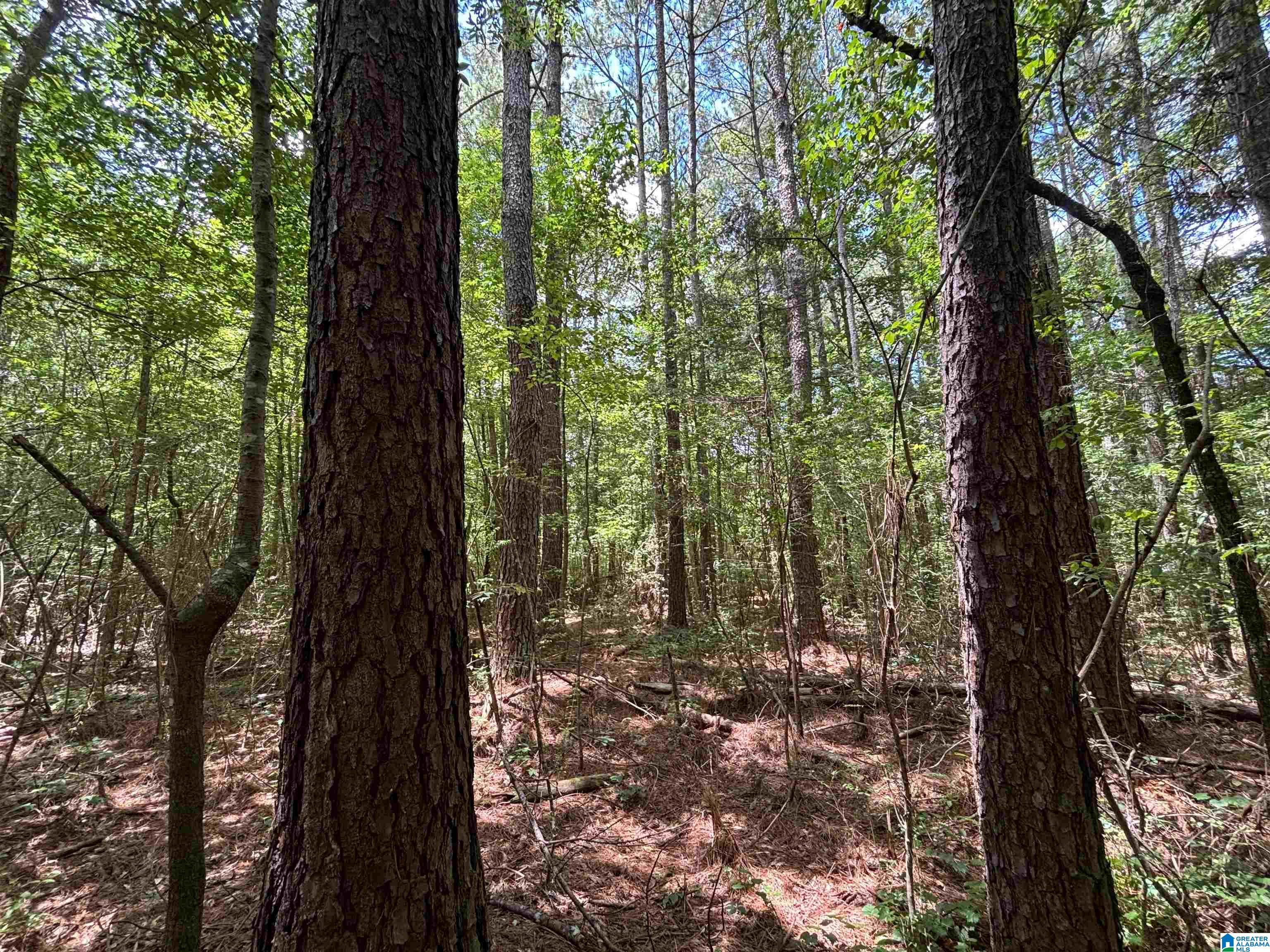 0 COUNTY ROAD 42