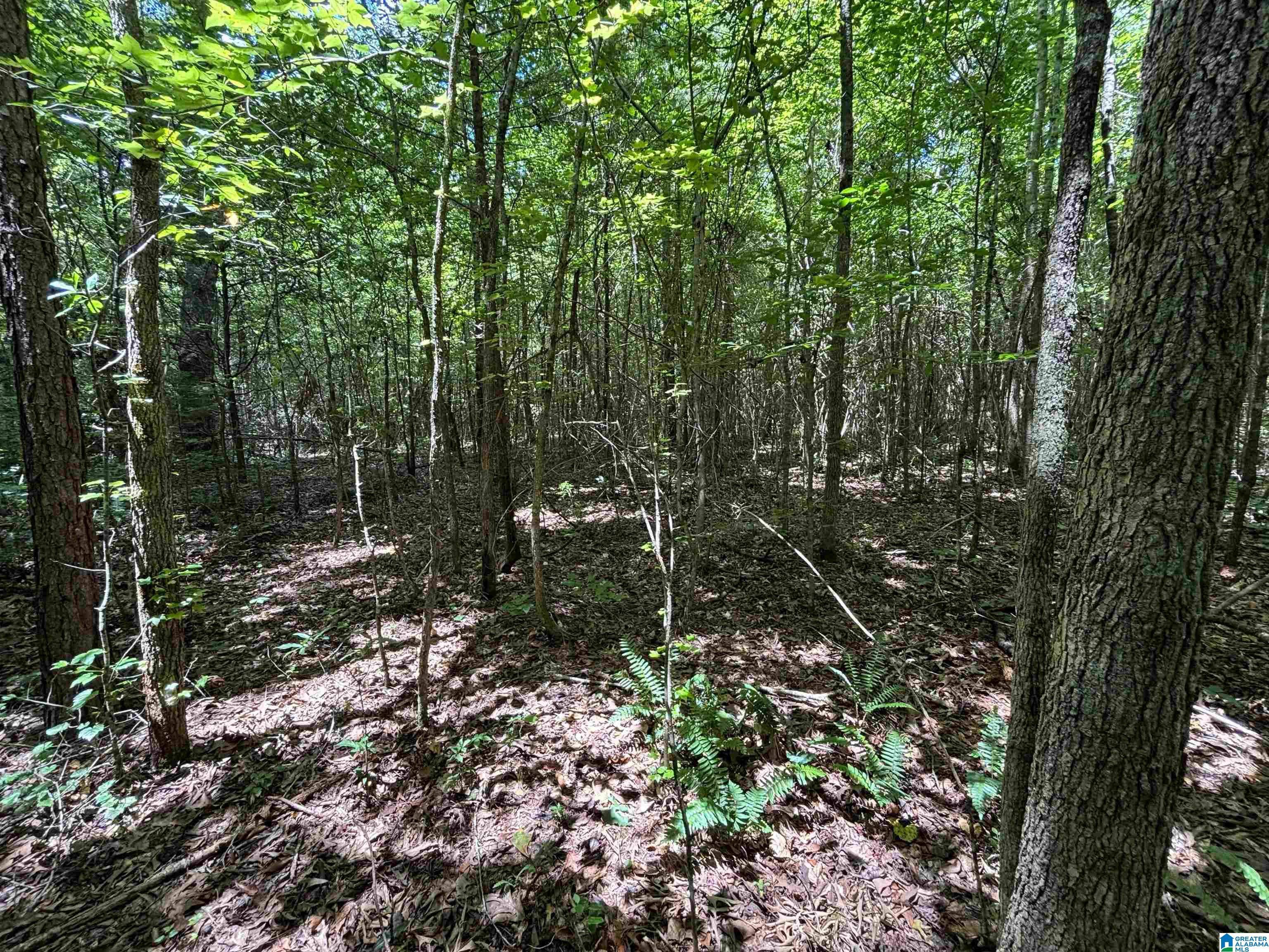 0 COUNTY ROAD 42