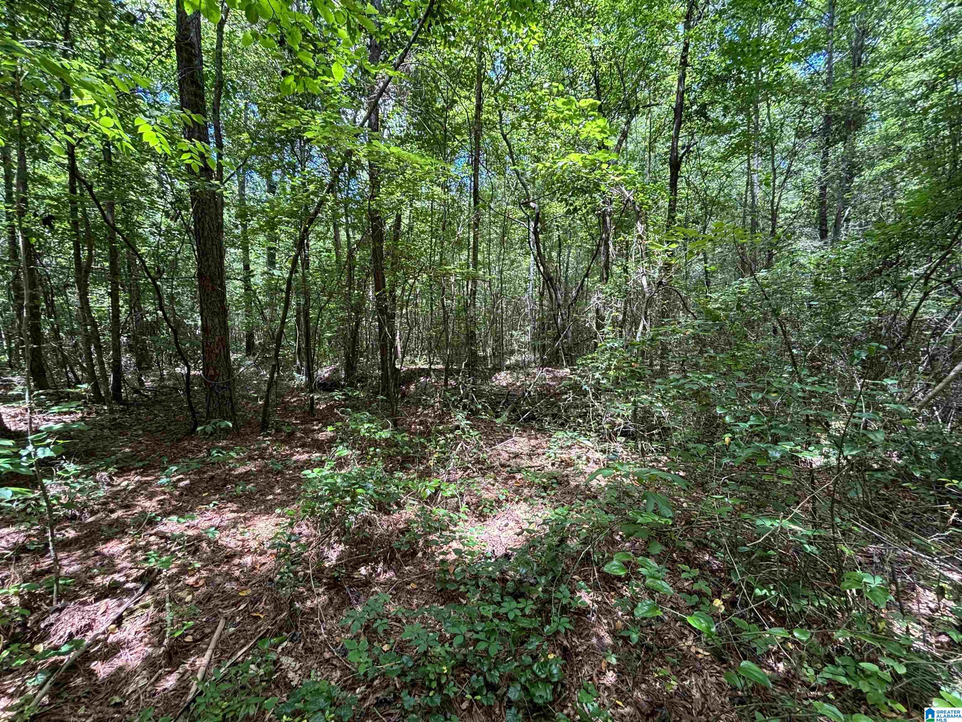 0 COUNTY ROAD 42