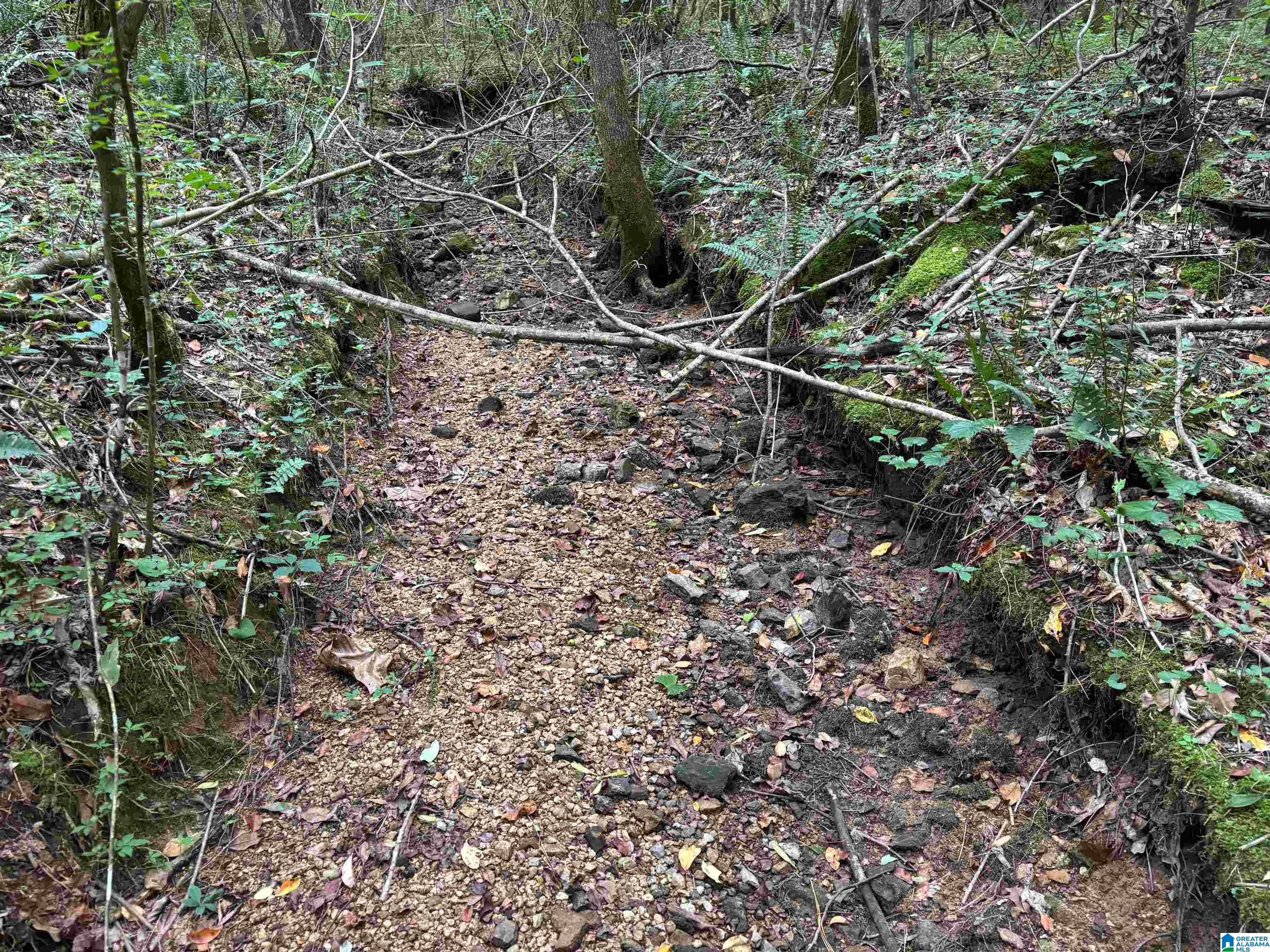 0 COUNTY ROAD 42