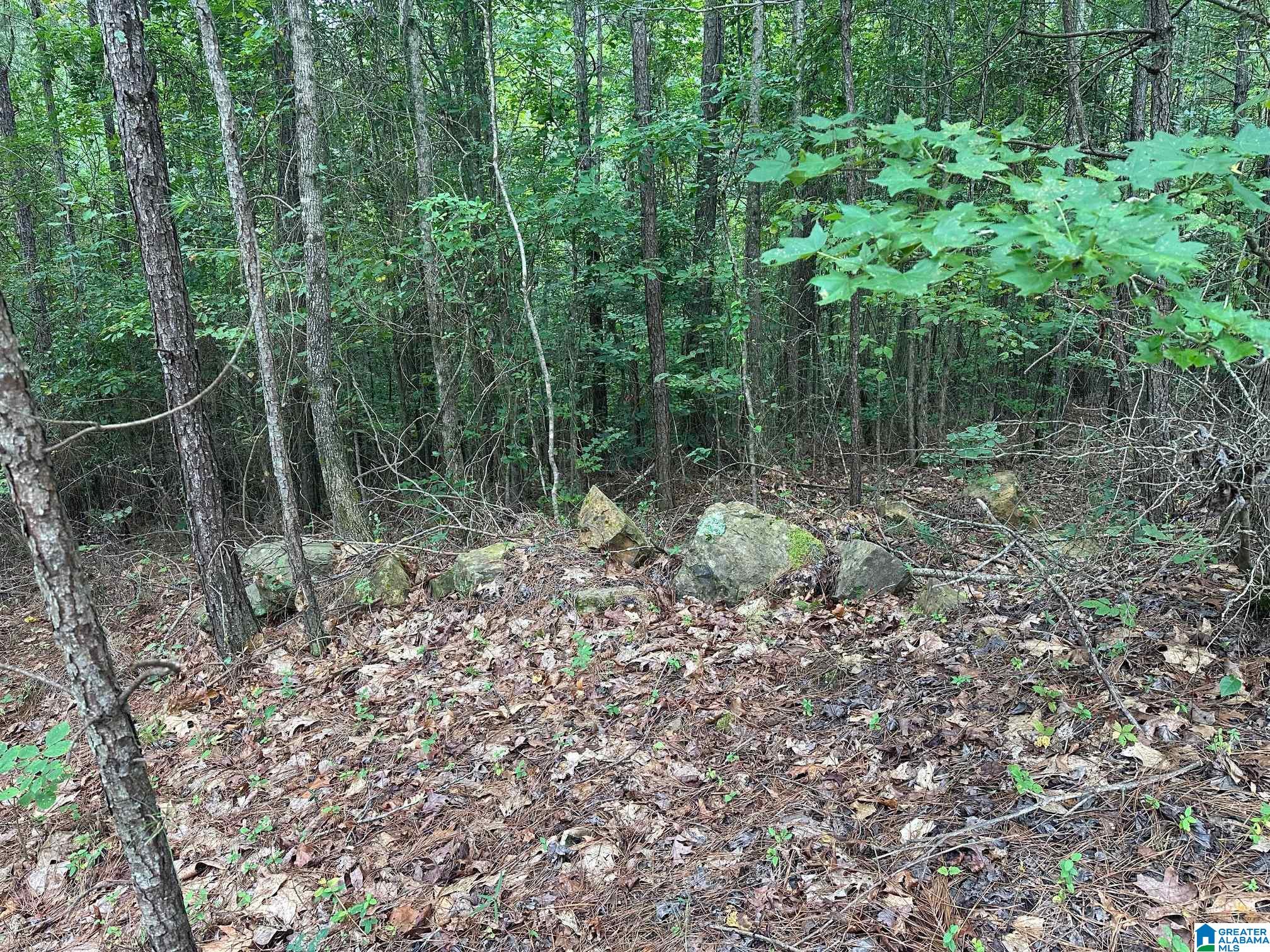 715 FALLVIEW LANE