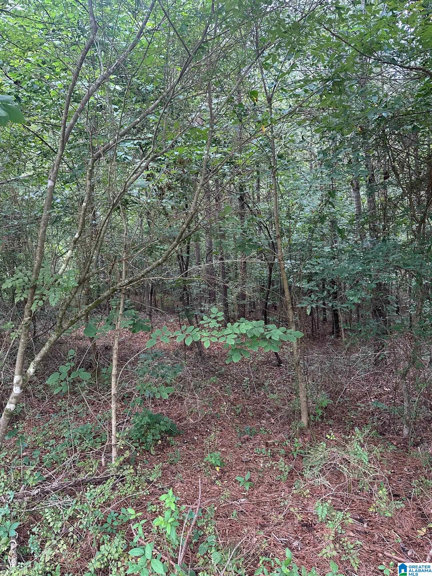 715 FALLVIEW LANE