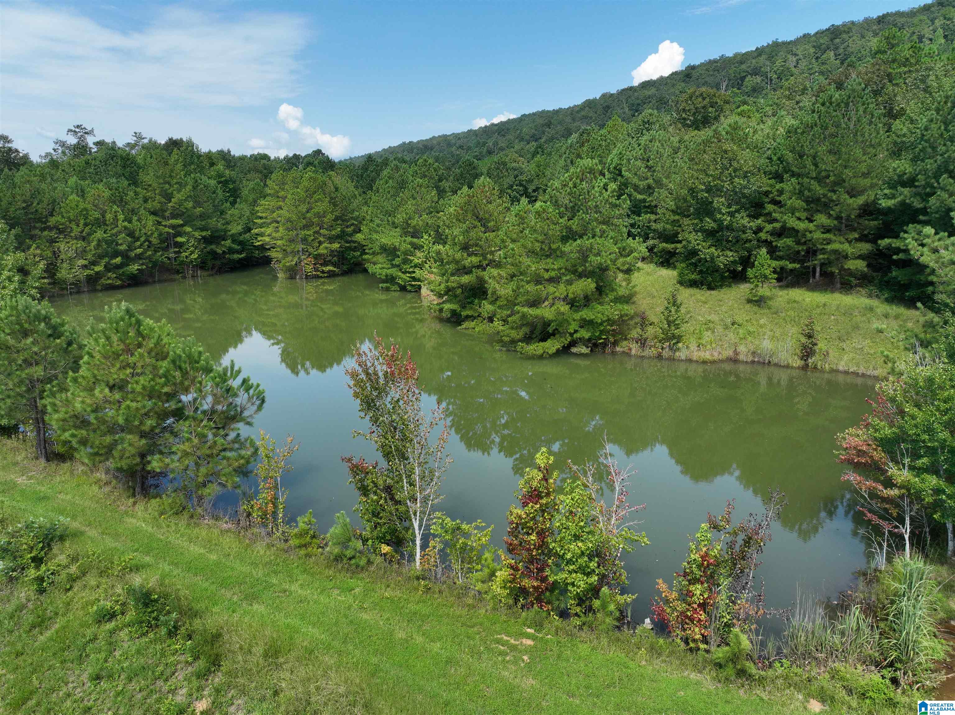 3941 SHOAL CREEK ROAD