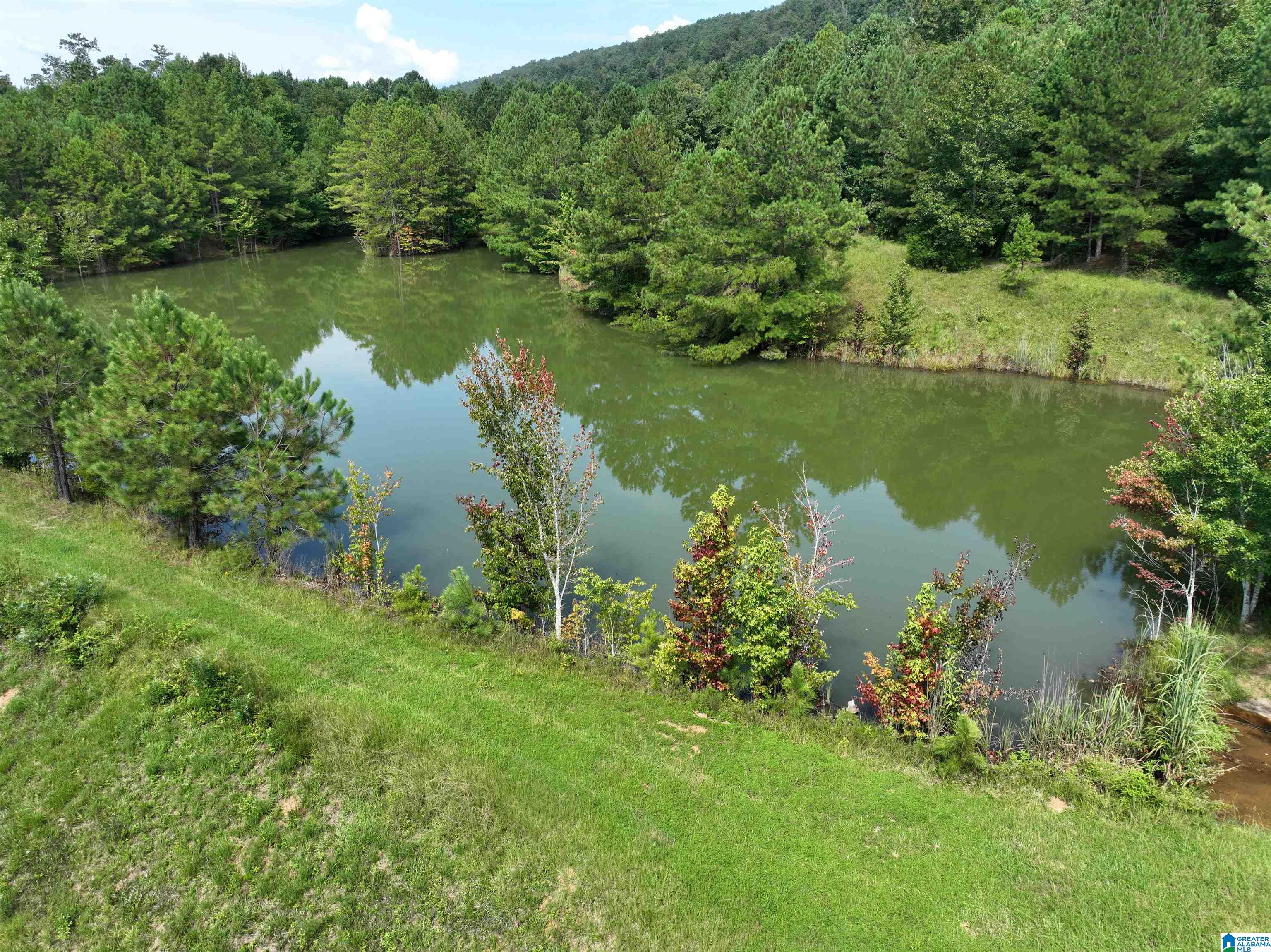 3941 SHOAL CREEK ROAD