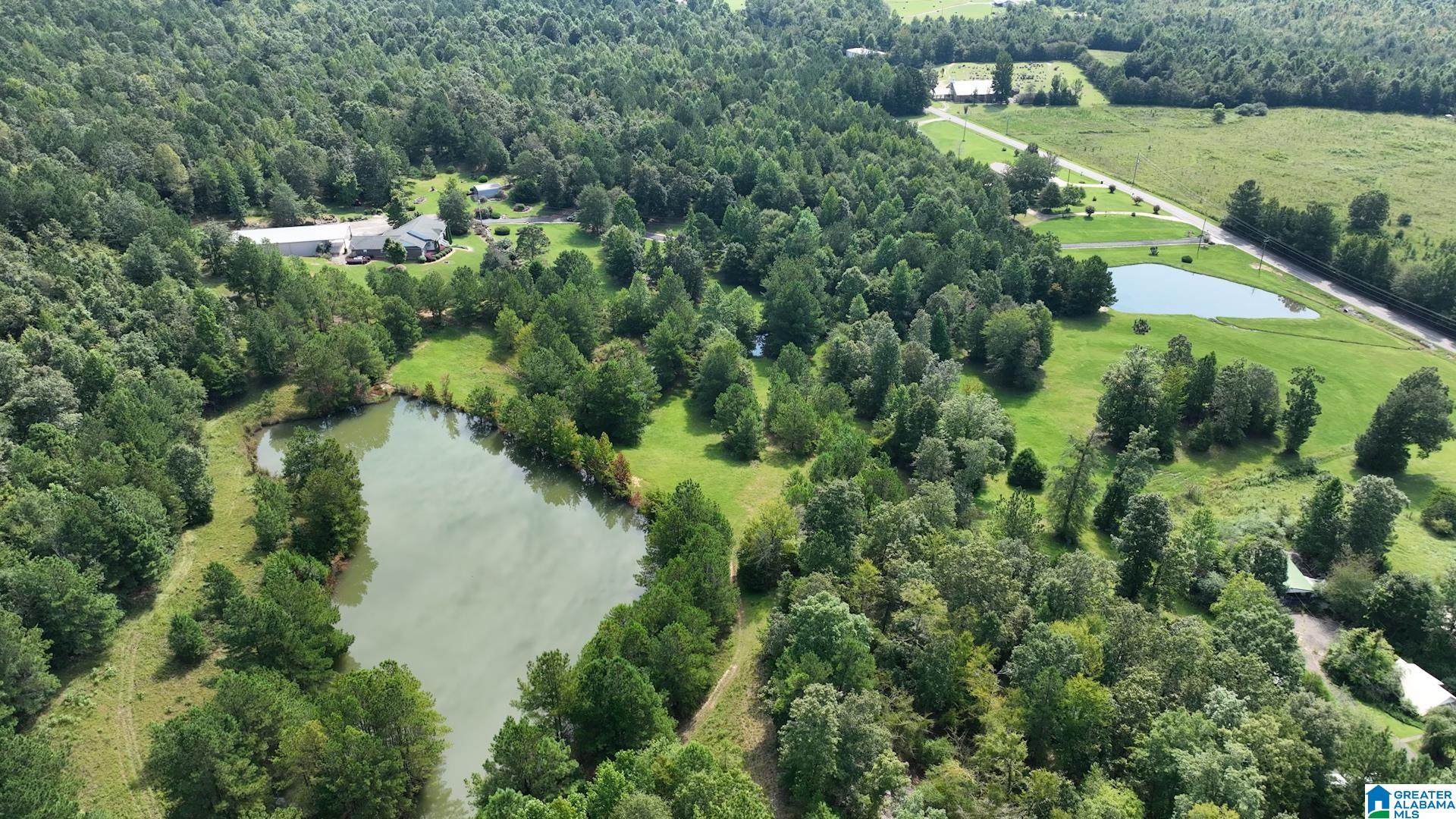 3941 SHOAL CREEK ROAD