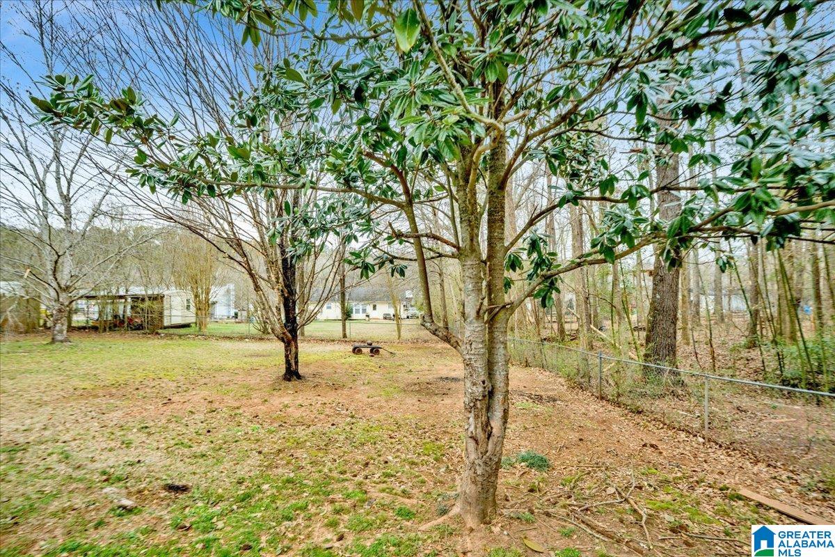 375 BRIAN TRAIL