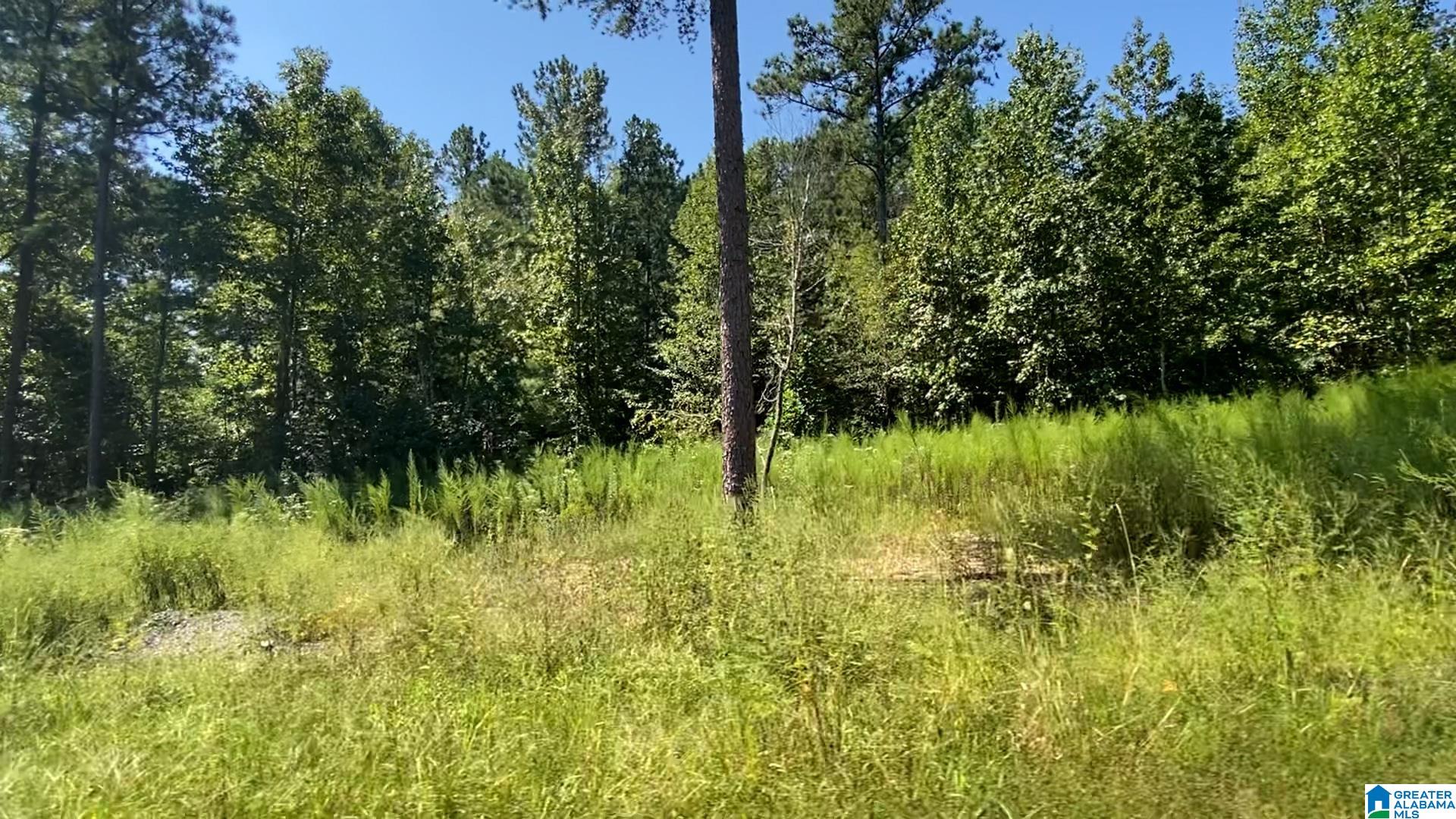 20 SCENIC VALLEY ROAD