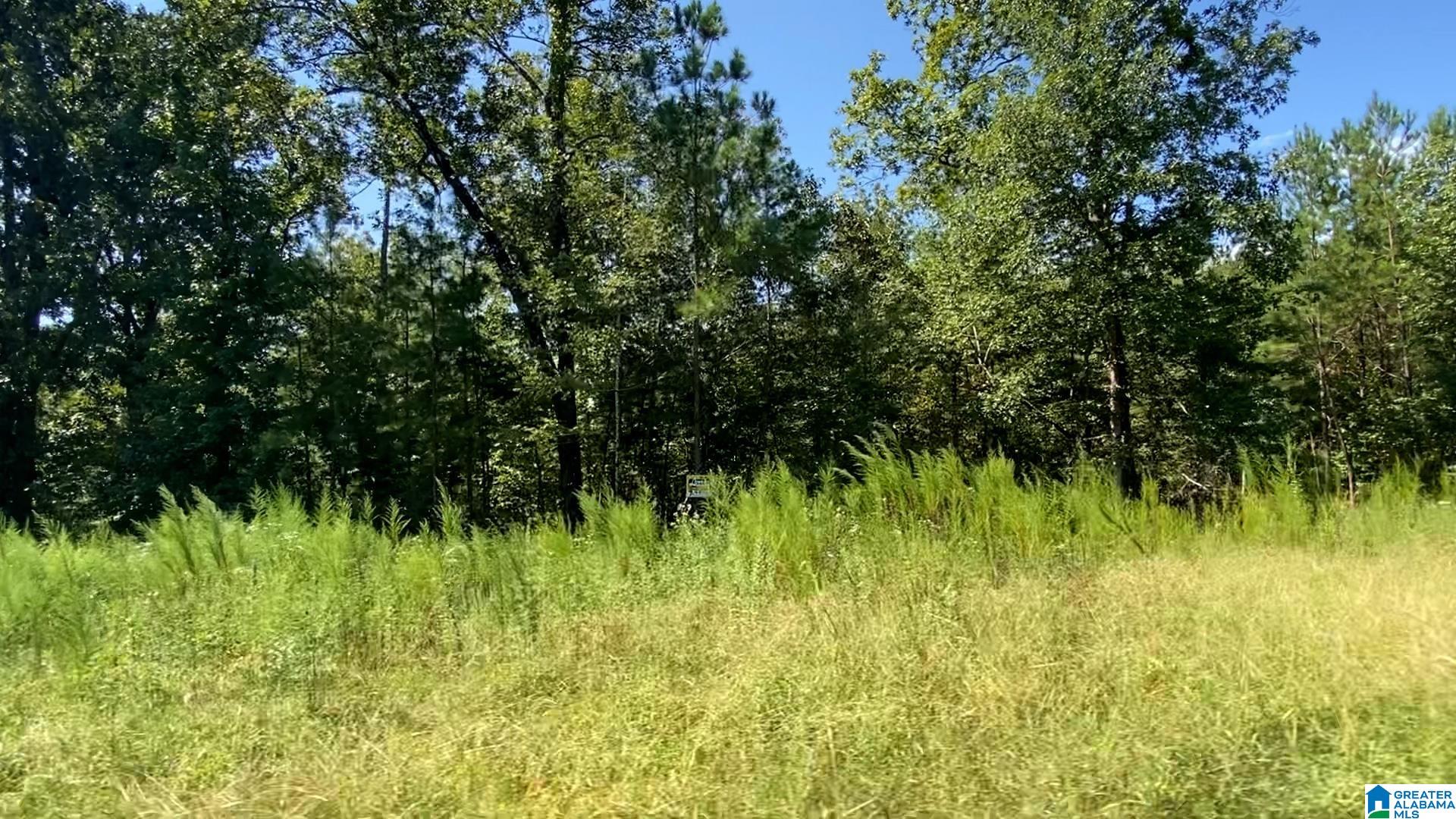 20 SCENIC VALLEY ROAD