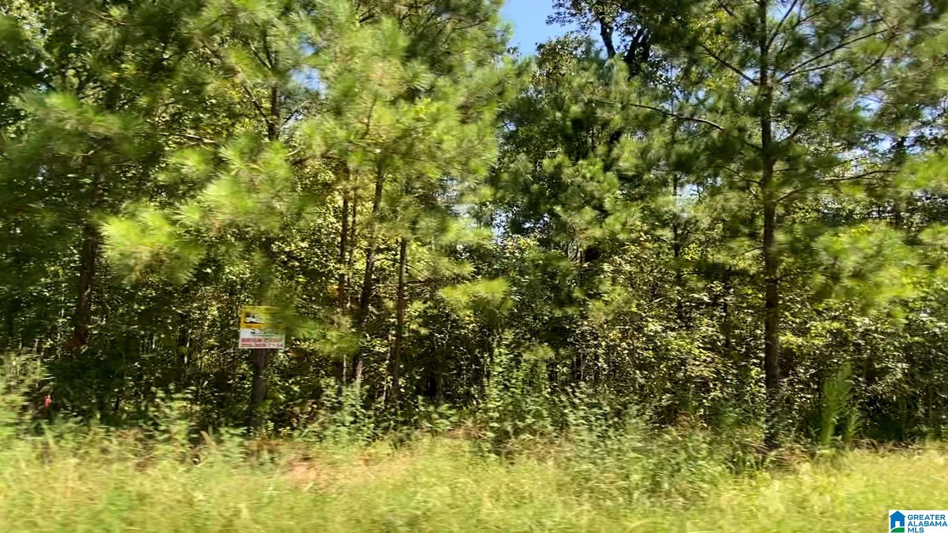 20 SCENIC VALLEY ROAD